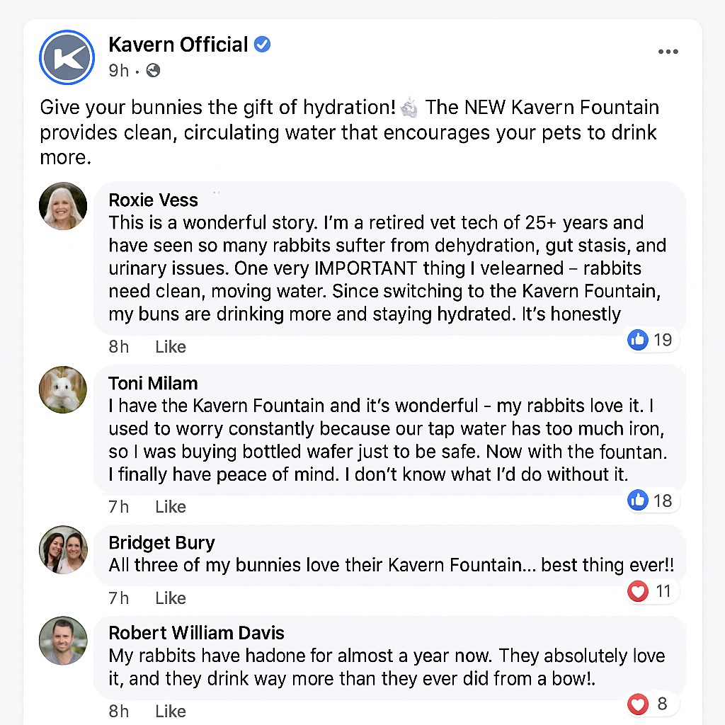 Karven's Filtered Water Fountain