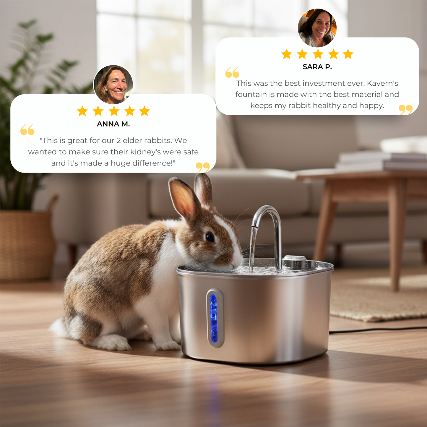 Karven's Filtered Water Fountain