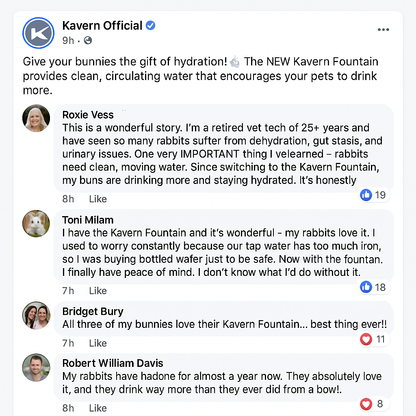 Karven's Filtered Water Fountain